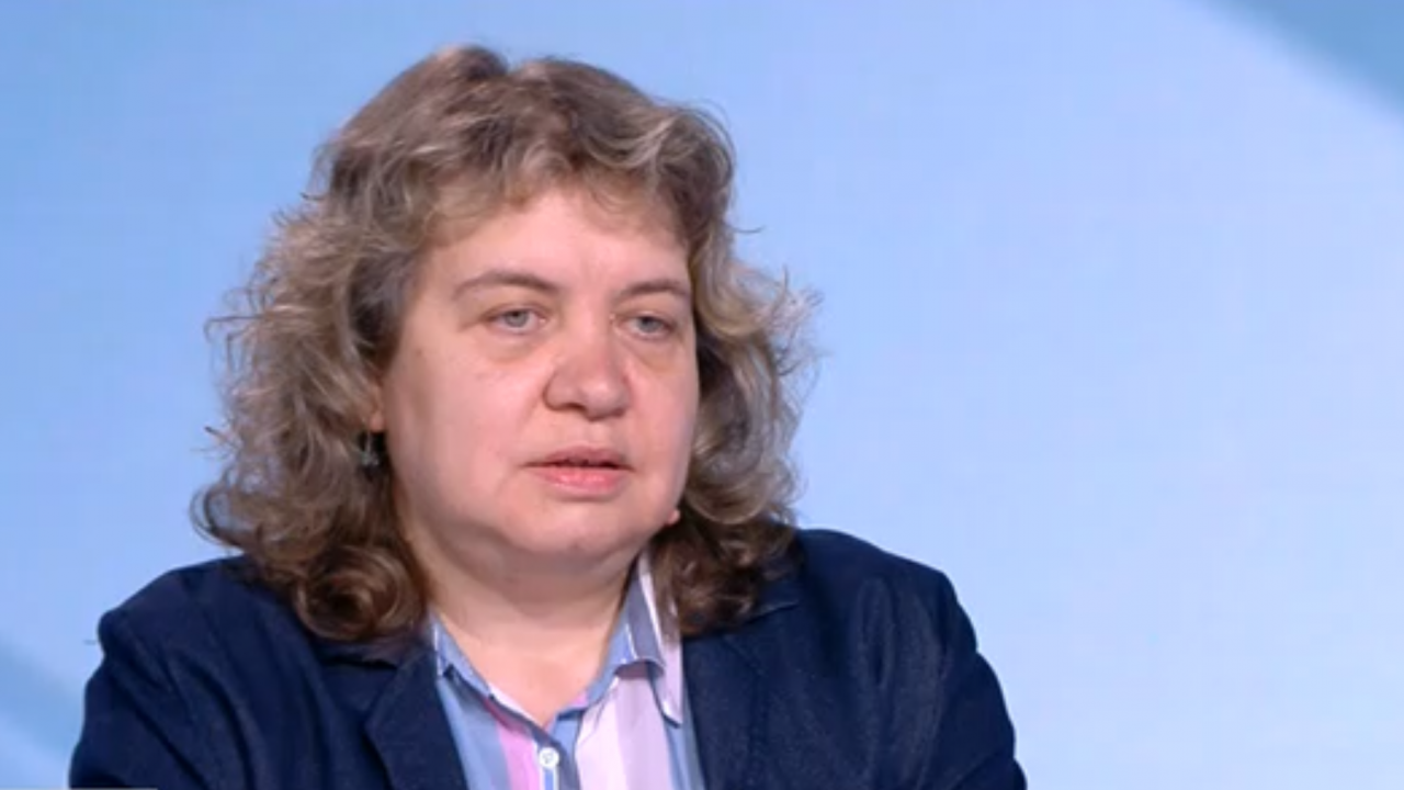 Доц. Киселова: В НС гласуваха взаимоизключващи се неща и на ръба на Конституцията
