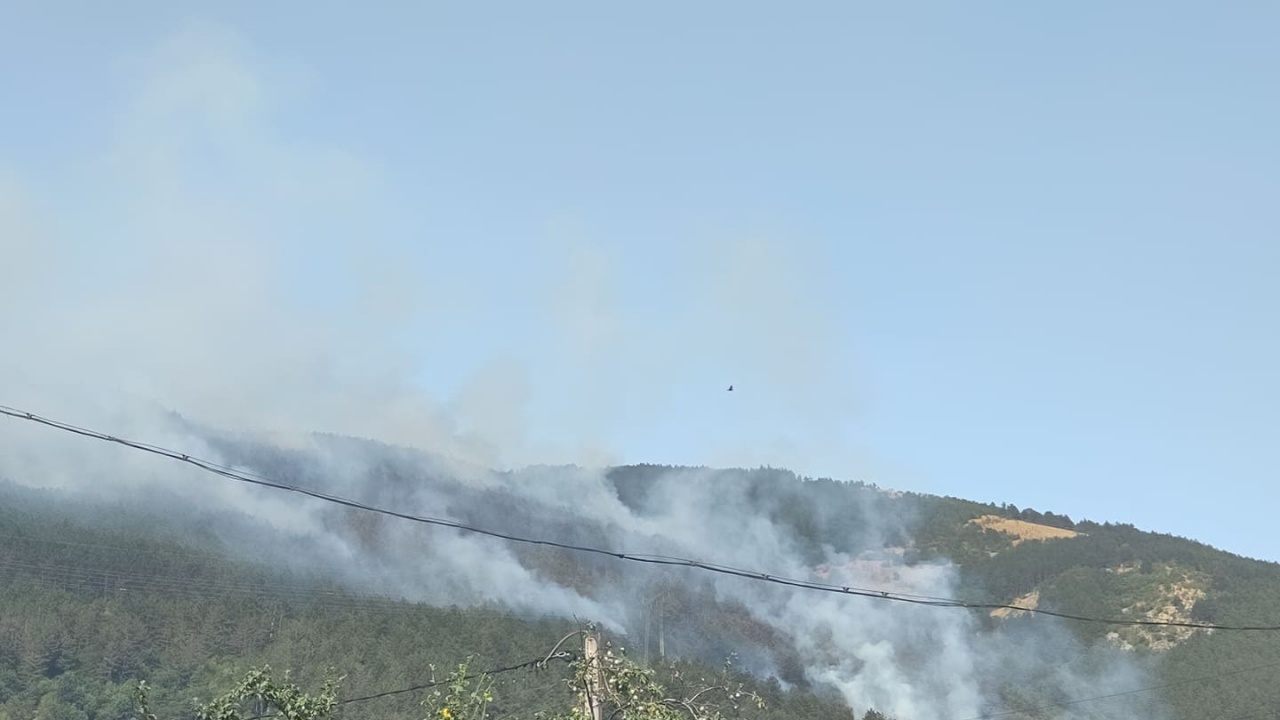Вертолет „Кугар“ и днес ще участва в гасенето на горски пожар в Рила