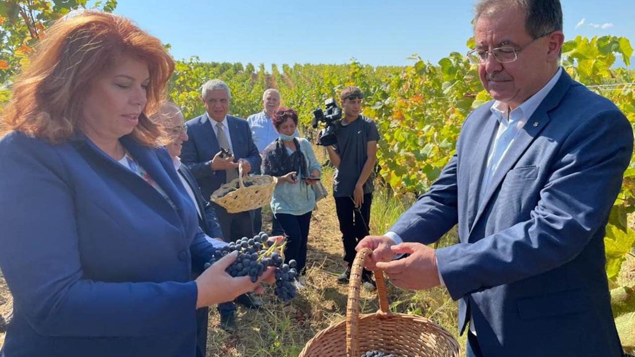 Министър Бозуков: С 20 % по-висок добив от грозде очакваме тази година