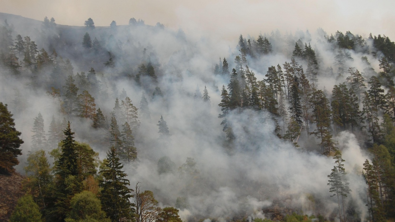 Вертолет „Кугар“ трети ден участва в гасенето на горския пожар в Рила