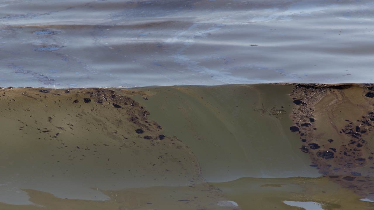 Петролен разлив край Калифорния вещае екологично бедствие