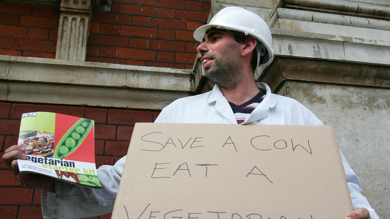 Протест в Лондон срещу месопреработвателната индустрия