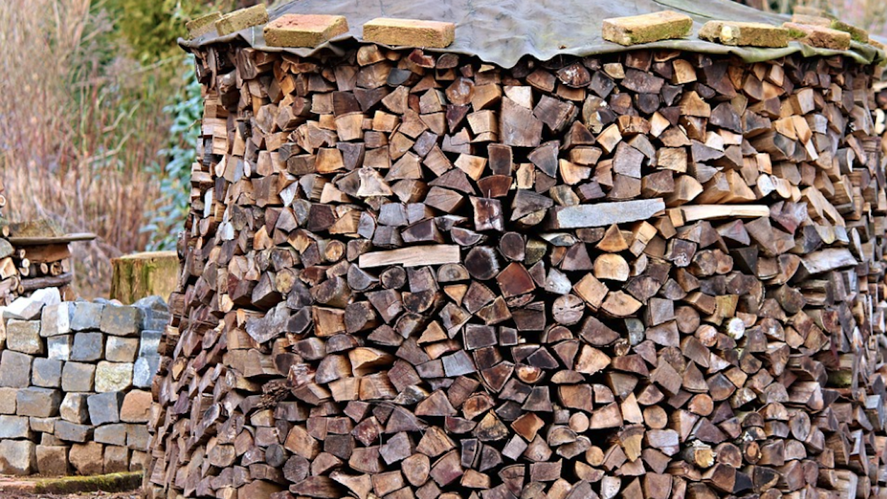 Образуваха досъдебно производство за незаконен добив на дървесина в Омуртагско