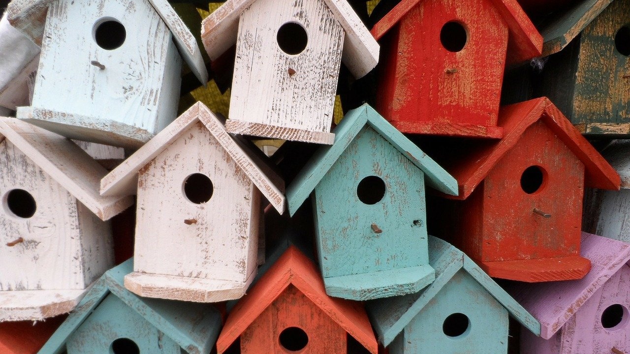 Работилница за къщички за птици организира Младежки център - Добрич 