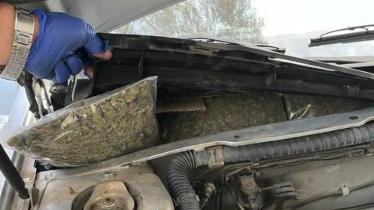 Спипаха двама македонци с 32 кг марихуана на МП Логодаж 