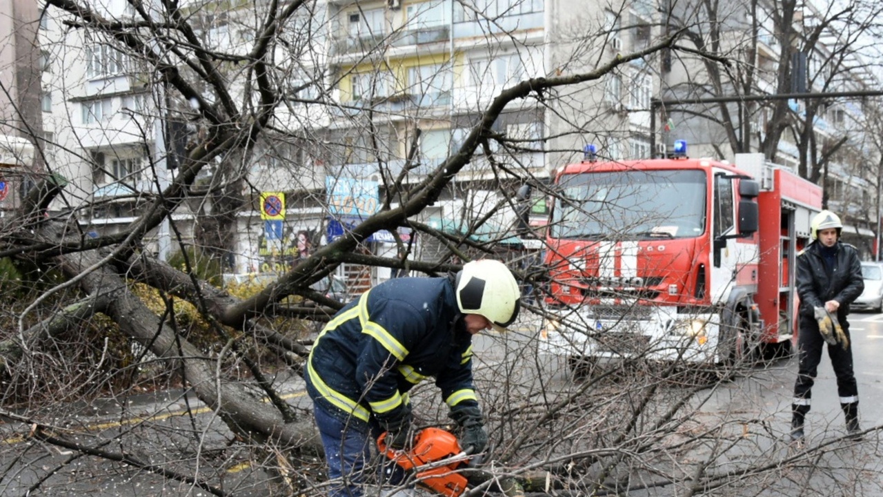 Ураганен вятър нанесе щети във Враца