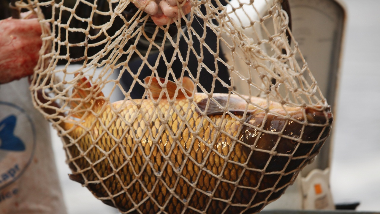 Рибен курбан ще бъде осветен и раздаден в църквата в Разград за Никулден