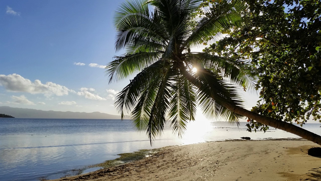 Островната държава Фиджи днес отвори границите си за чуждестранни туристи