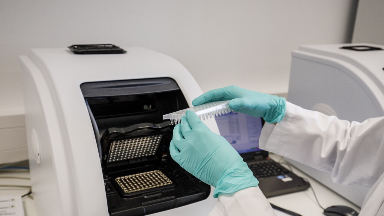 Разработиха PCR тест, откриващ COVID щама Омикрон