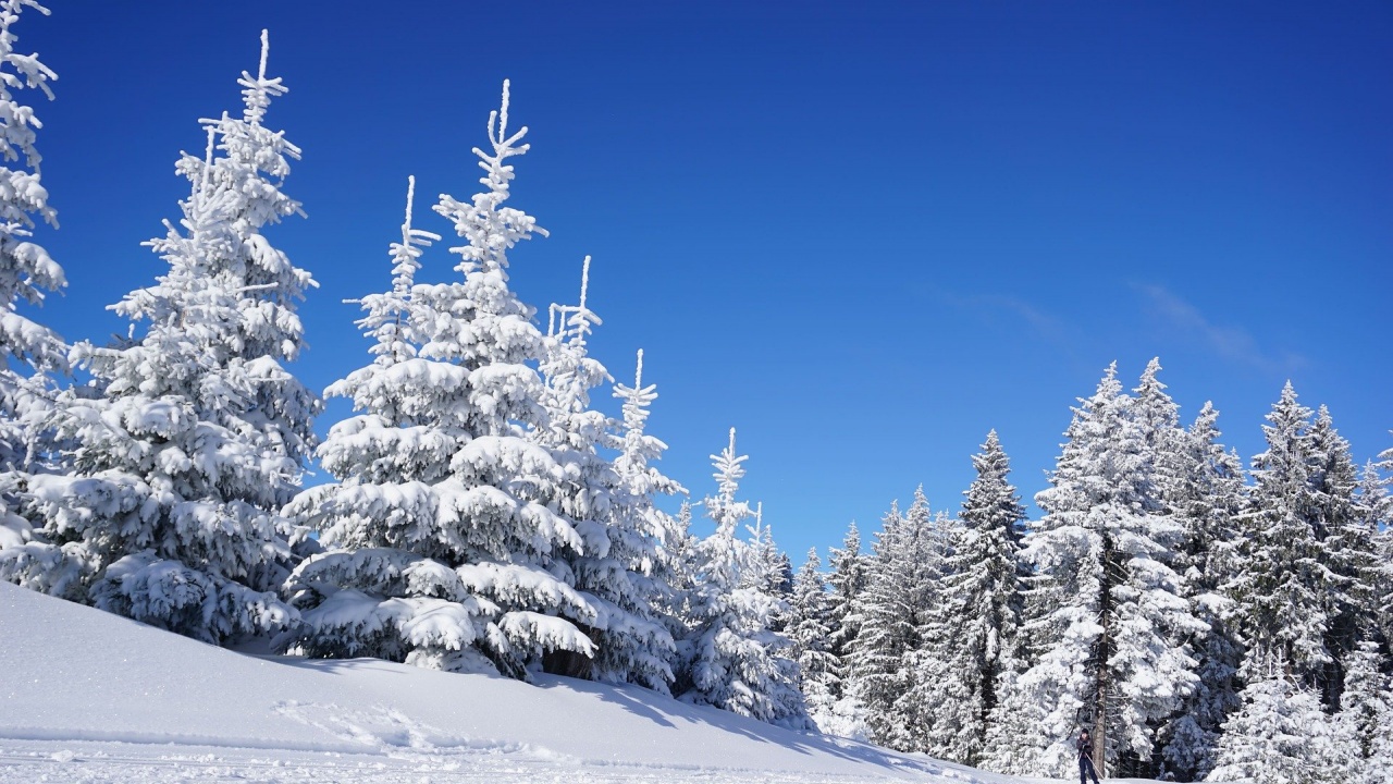 Истински сняг ни очаква за откриването на ски сезона