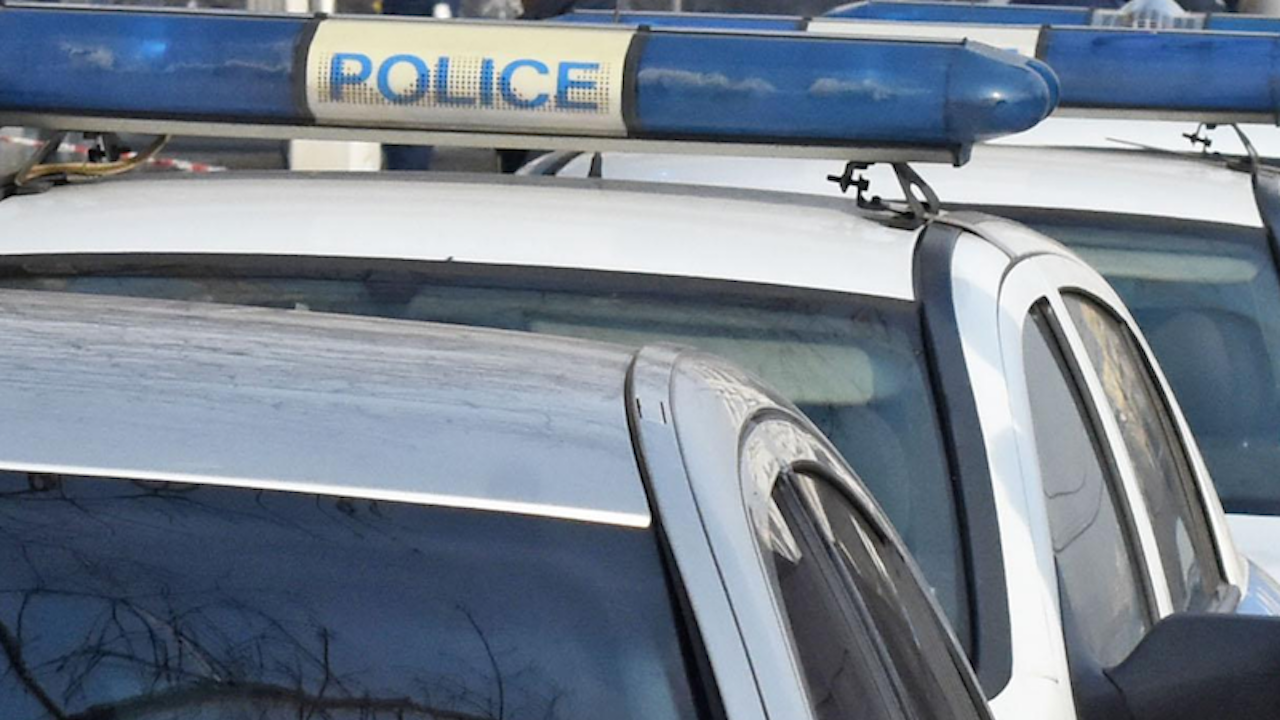След полицейско преследване в Плевенско са задържани трима за незаконна сеч