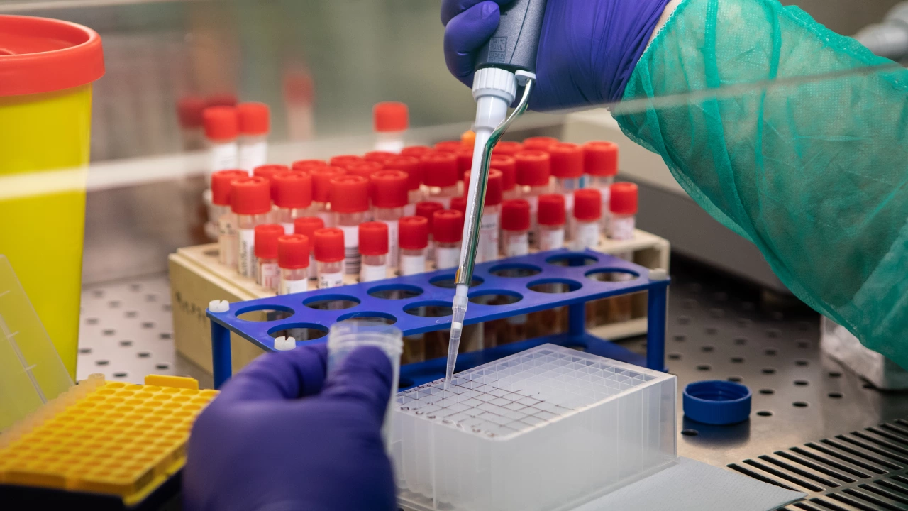 Нидерландия отчете днес рекордните близо 35 хиляди новозаразени с коронавирус