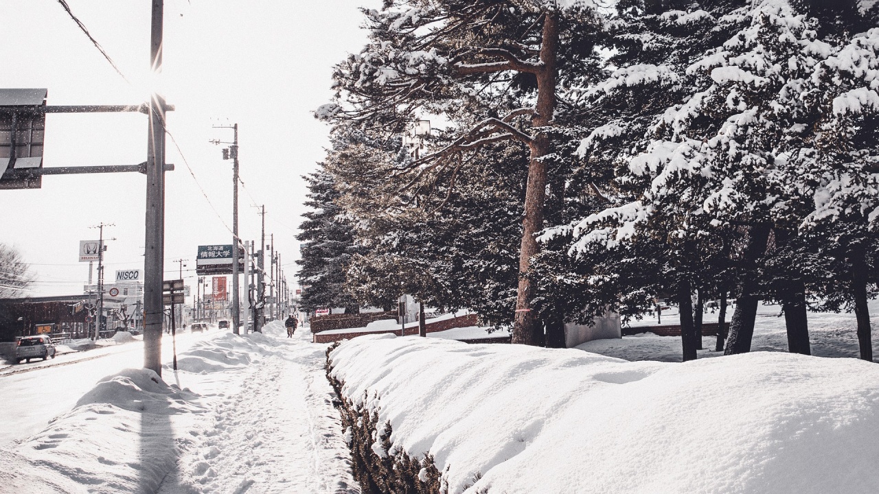 Четирима души загинаха в Северна Япония в резултат на обилни снеговалежи