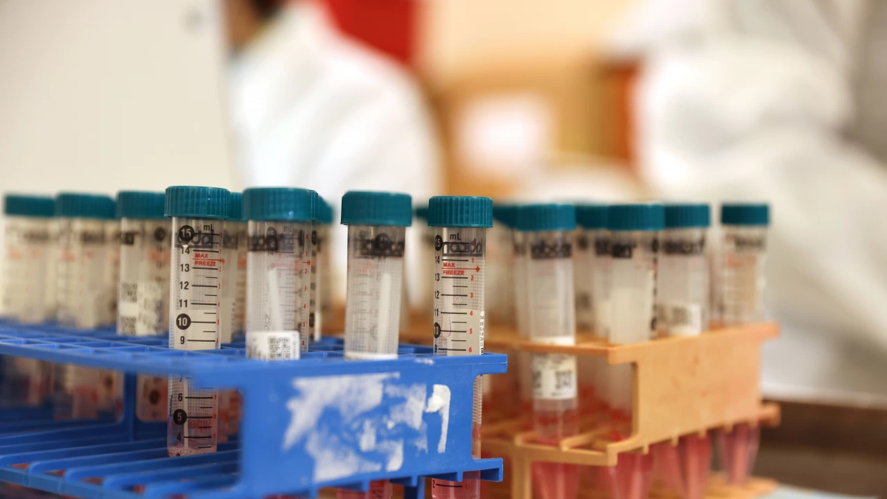 В 68 процента от секвенираните проби в лабораторията по вирусология