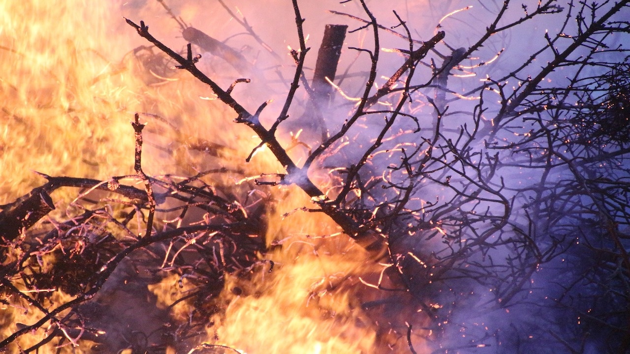 Пожар пламна в гора край Банско