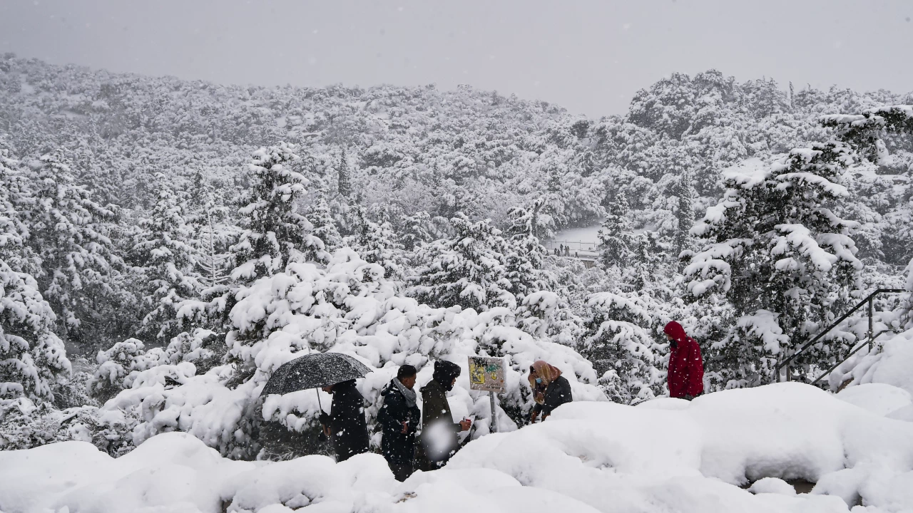 Сняг покри днес Атина и предградията й обърка транспорта спря