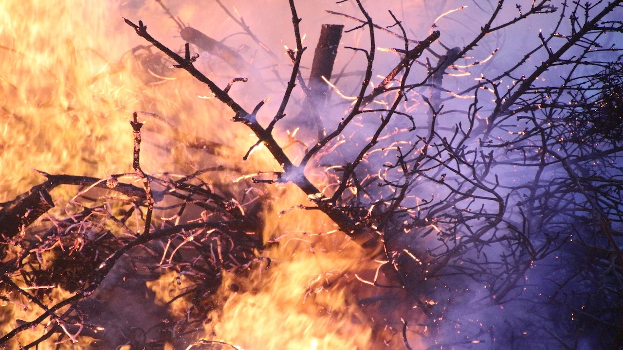 Горски пожар гори над село Осеново край Банско Огънят е