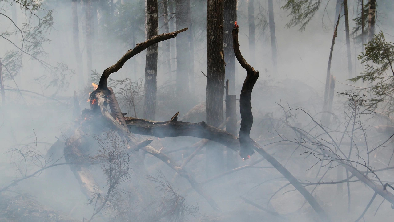 Локализиран е пожарът който бушува в Рила над село Осеново