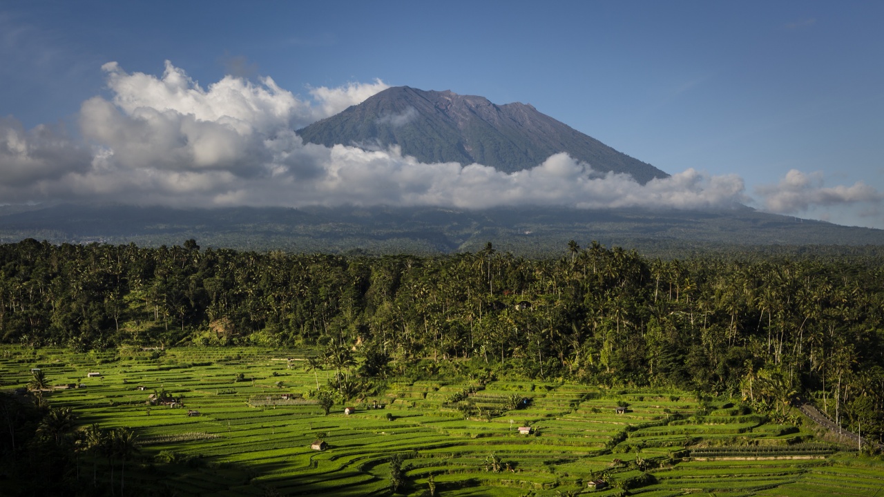 Индонезия отваря Бали за туристи от всички страни от 4 февруари