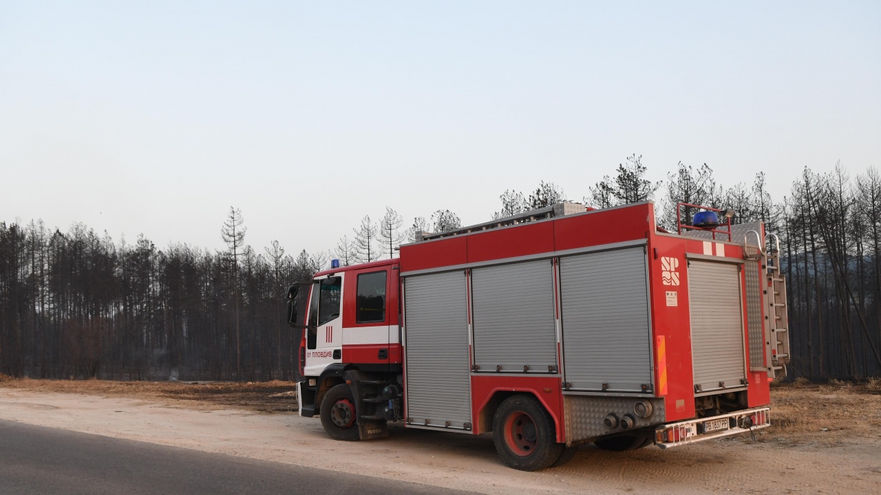Спасиха от пожар широколистни гори в Омуртагско