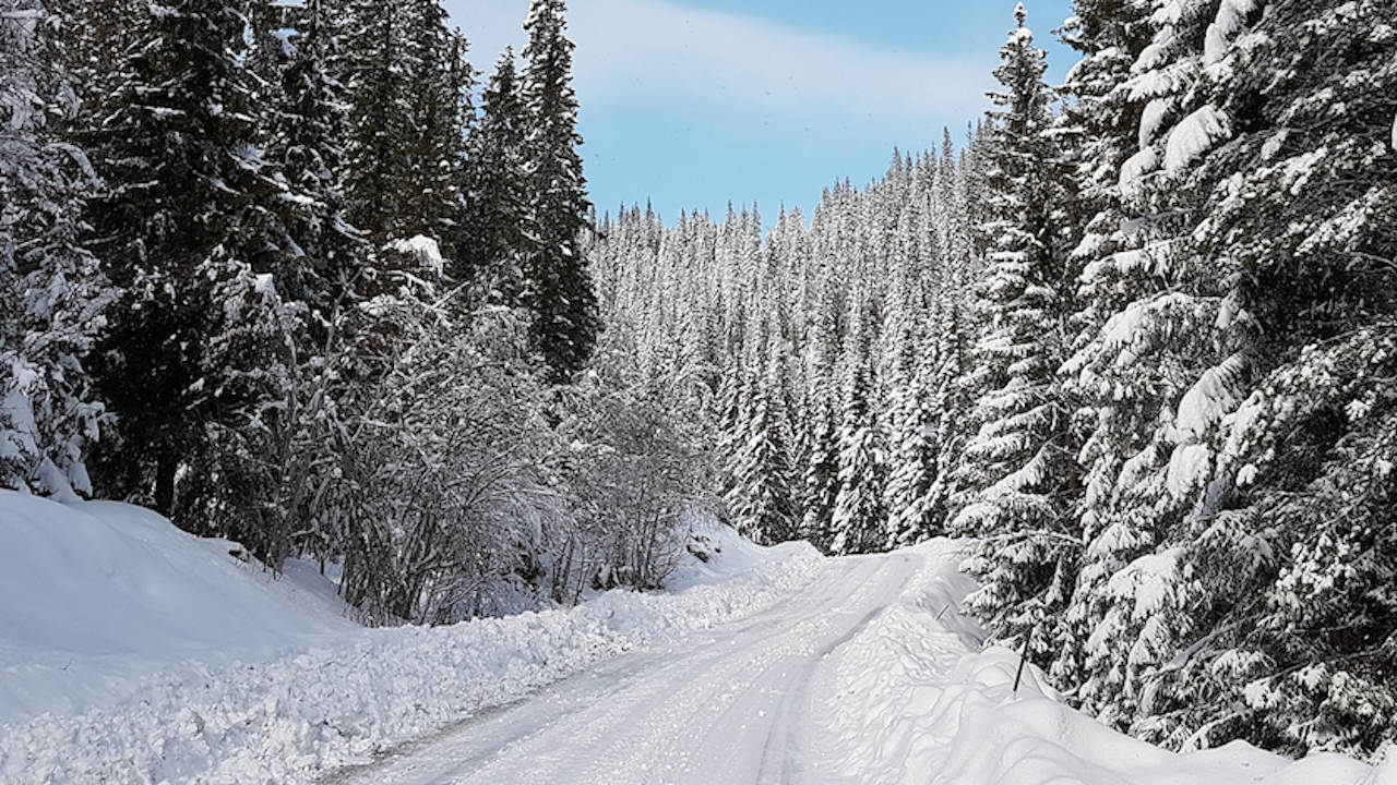 Пътищата в парка Витоша са затворени заради снегопочистване