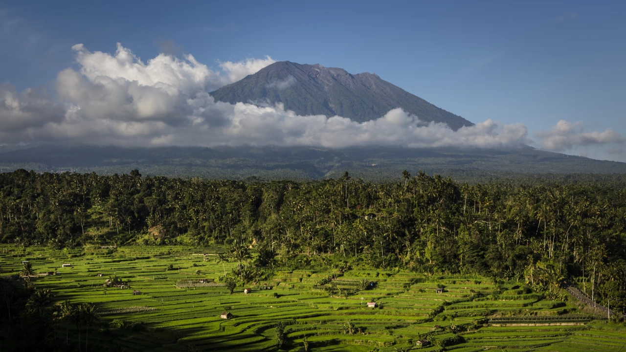 Индонезия ще отвори популярния сред туристите остров Бали за посетители