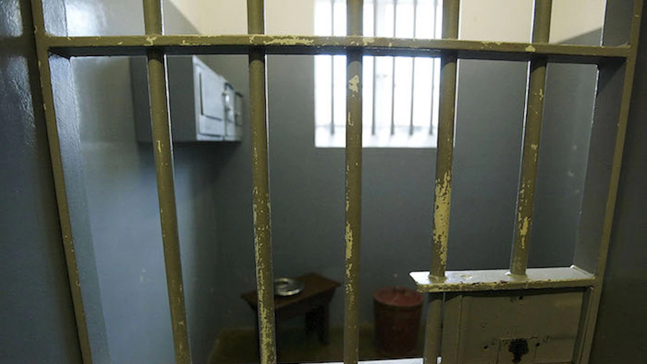 Окръжният съд в Плевен остави за постоянно в ареста 81 годишният