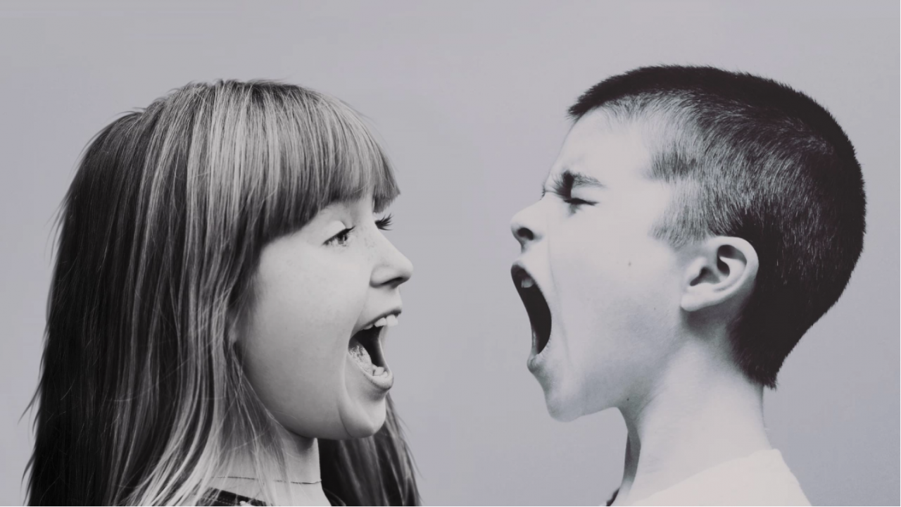 Омбудсманът с онлайн дискусия за психичното здраве и детската агресия в и извън училище