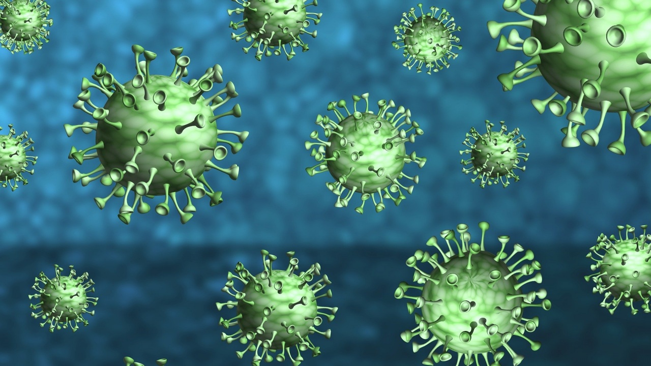Броят на новозаразените с коронавирус в Сърбия намалява