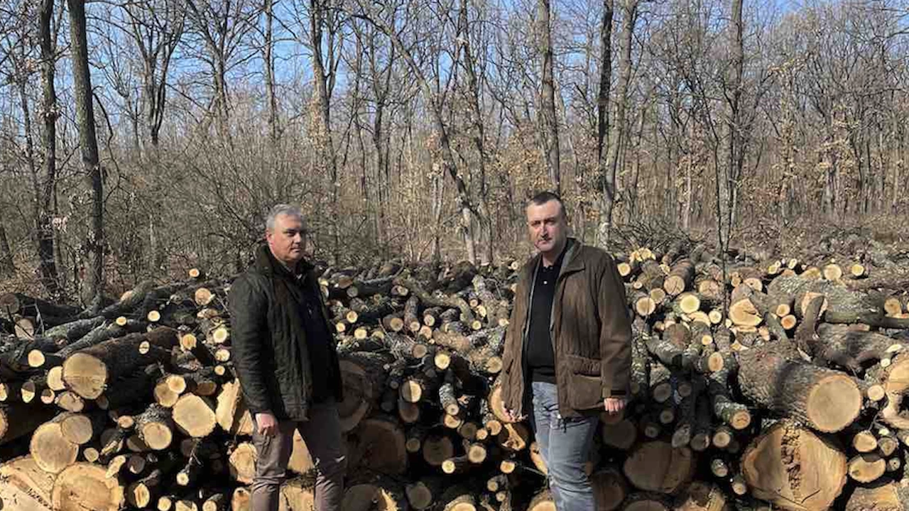 Министерството на земеделието обяви своята инициатива дървата за огрев да