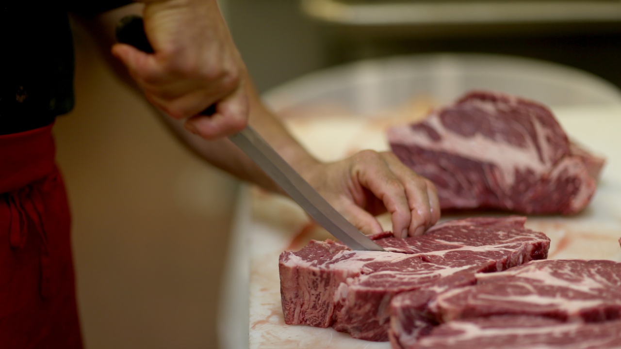 Франция обяви: Спираме за година вноса на месо от животни, третирани с антибиотици