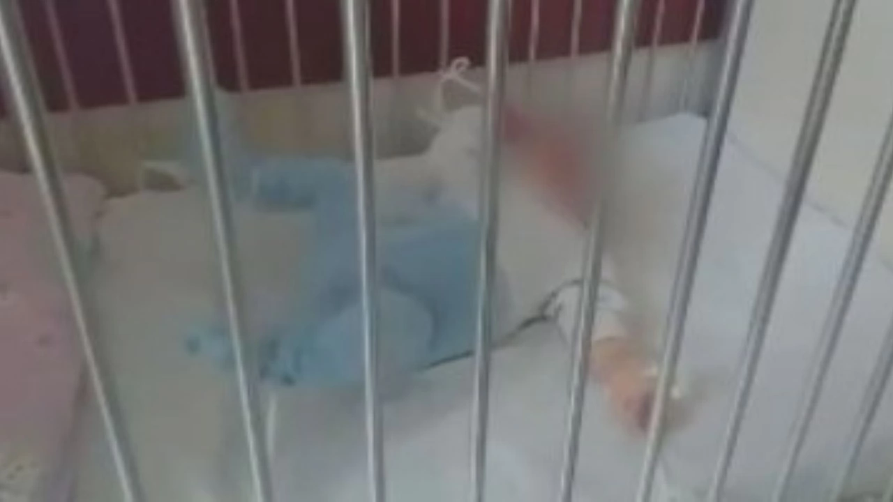 Сигнал за бебета вързани за леглата си в сливенската педиатрия Възмутени