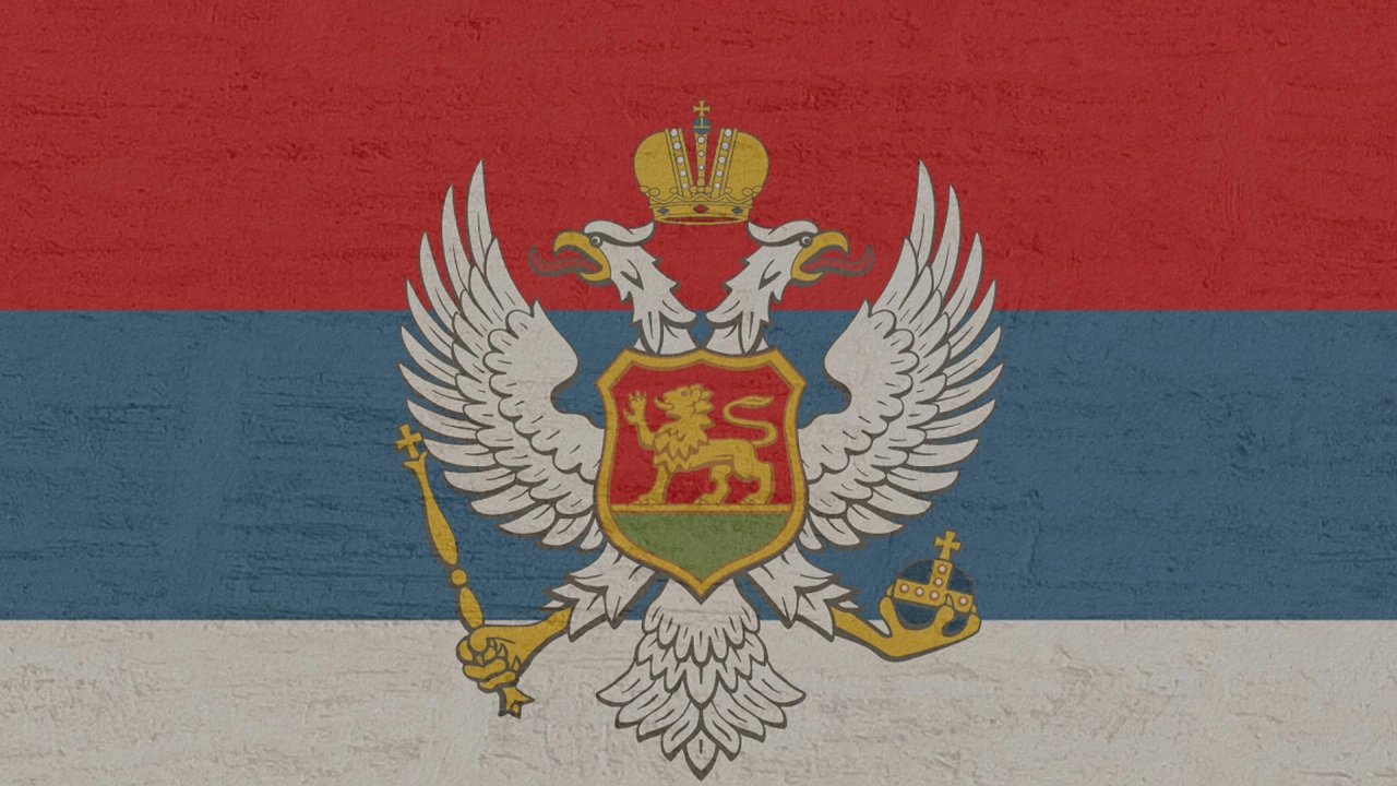 Черногорското министерство на външните работи осъжда агресивната акция на Русия