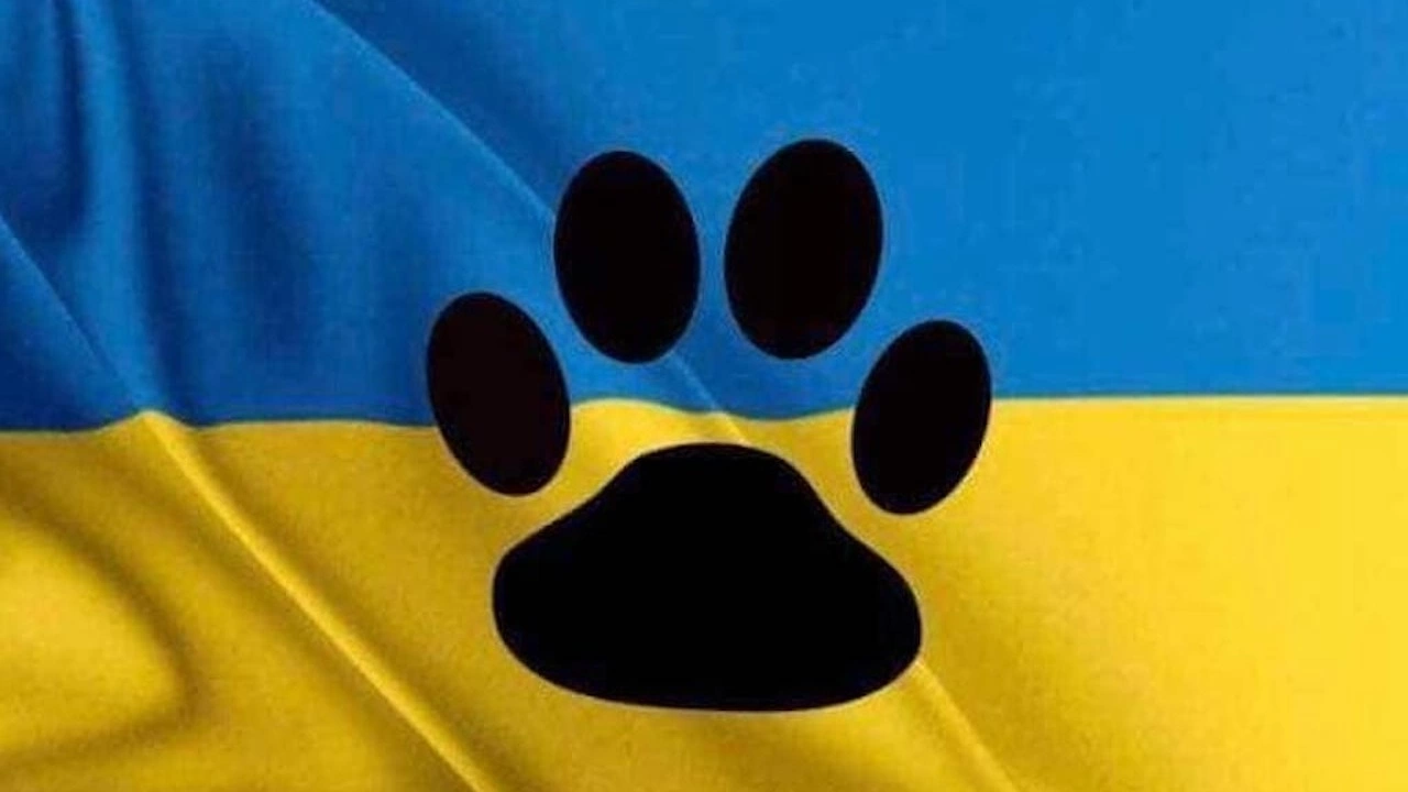 Украински граждани не оставиха животните си след началото на руската