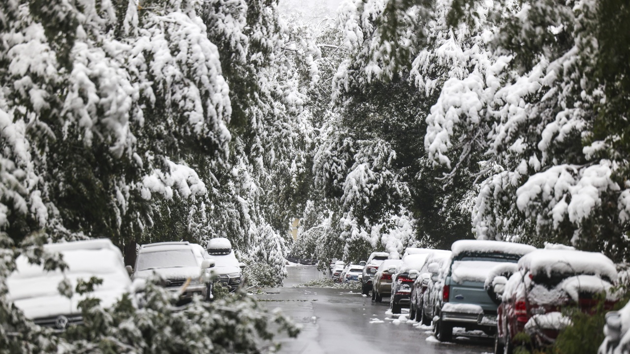 Разчистват падналите от снега дървета на пътя Черноочене – Асеновград и Ардино - Кърджали