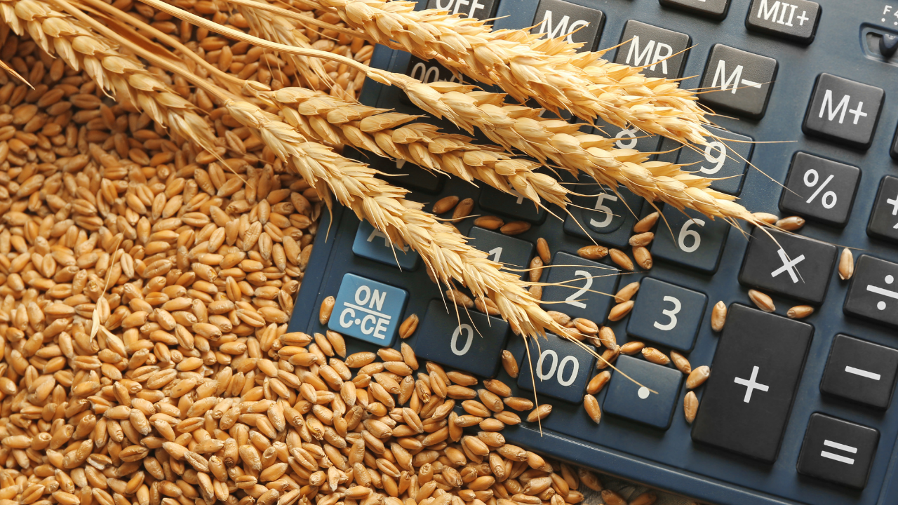 Националната асоциация на зърнопроизводителите няма да приеме незаконни действия на