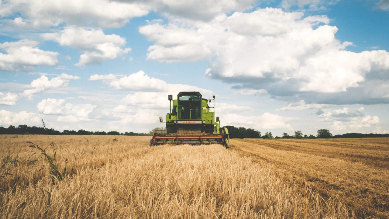 Украйна въведе експортни лицензи за ключови селскостопански стоки като пшеницата