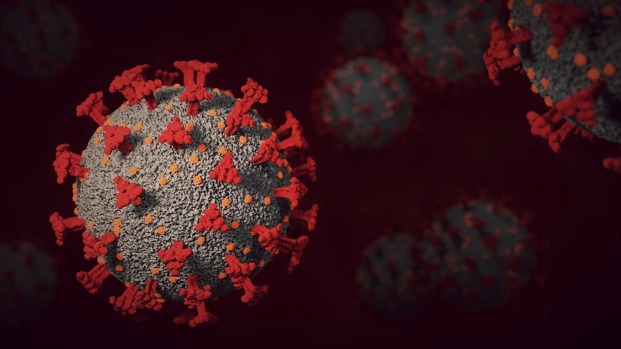 Над 6 милиона души са починали от коронавирус в света