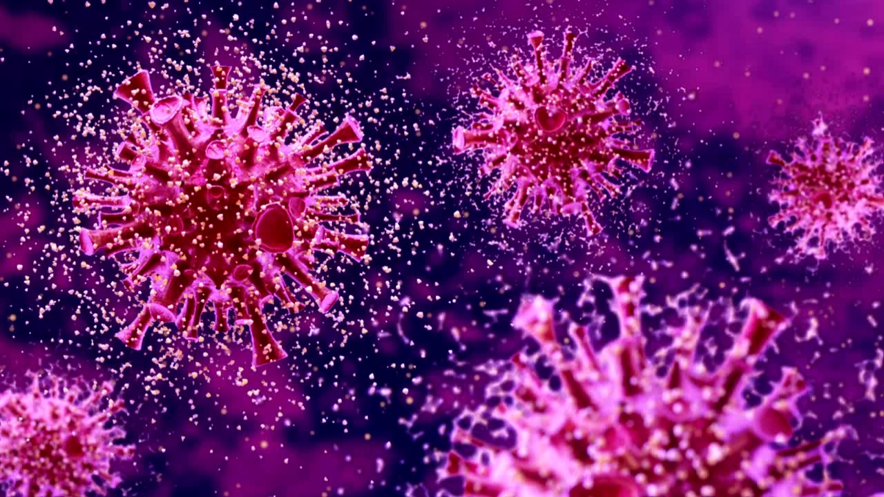 12 са новозаразените с коронавирус в Кюстендилска област за денонощието