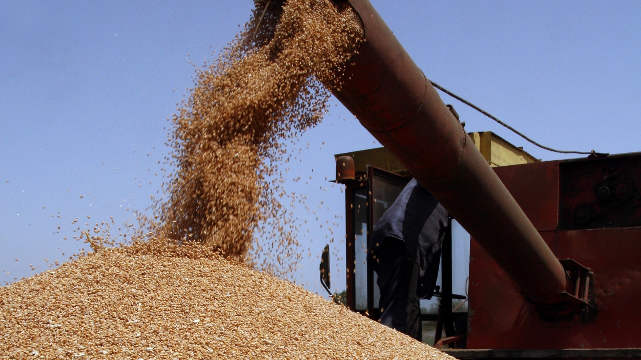 Започнаха денонощни проверки върху износа на зърнени и житни култури