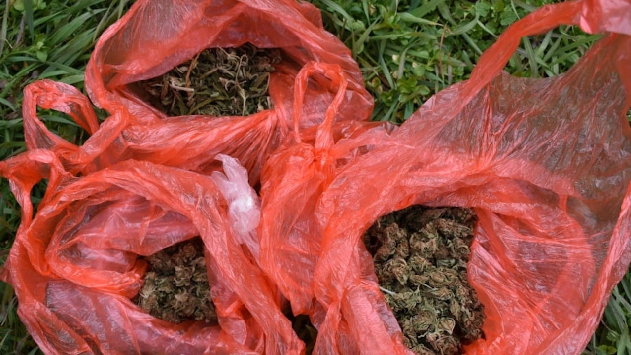 Повече от един килограм марихуана е иззела полицията в Нова