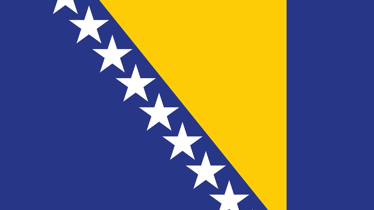 Австрийският канцлер Карл Нехамер заяви днес в Сараево че Босна