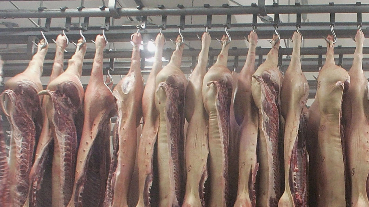 Турция въвежда ограничение на износа на месо съобщава турската държавна