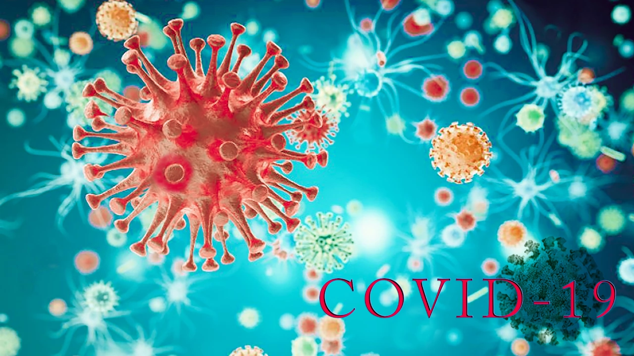 1 698 са новодиагностицираните с коронавирусна инфекция лица в България