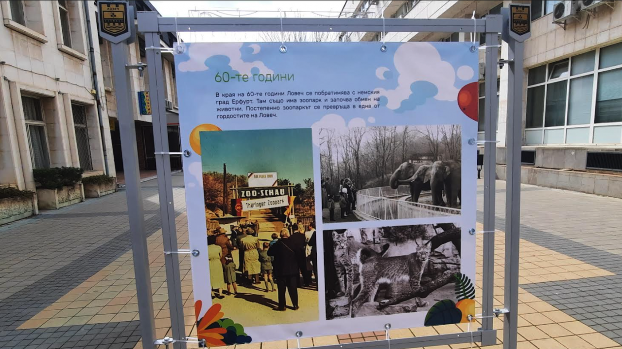 Пред Община Ловеч е подредена фотоизложба за Зоопарка
