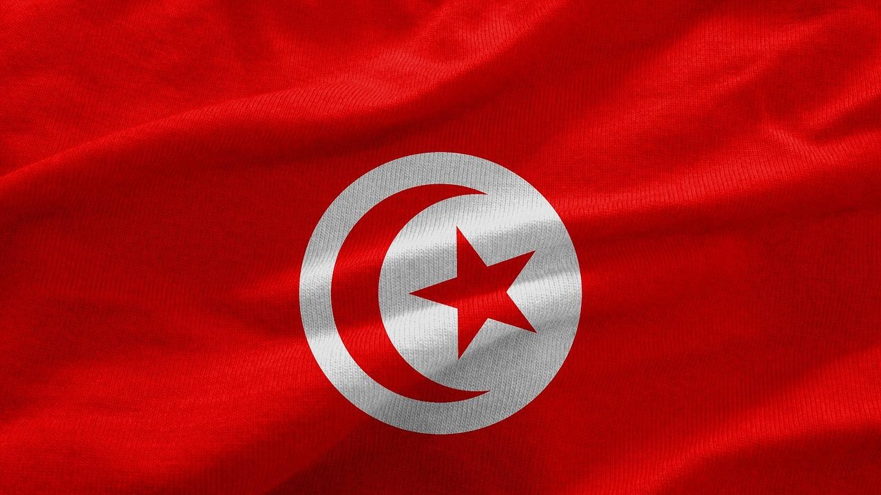Няколко държави са предложили да помогнат на Тунис да предотврати щети върху околната среда след потъналия кораб