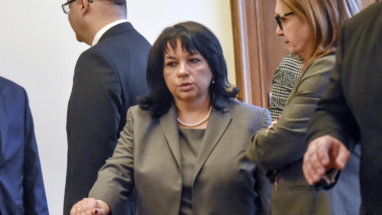 Теменужка Петкова нарече инсинуации твърденията на правителството за липса на диверсификация
