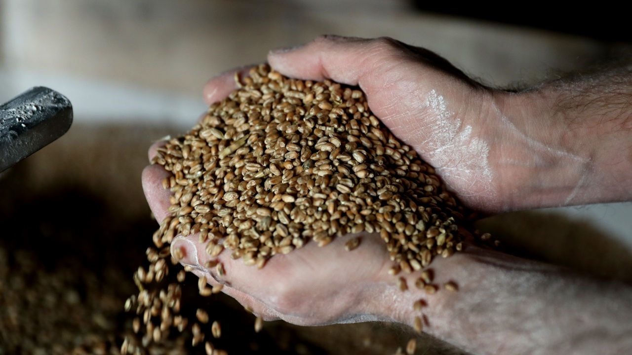 Украйна може да загуби милиони тонове зърно, предупреди Зеленски