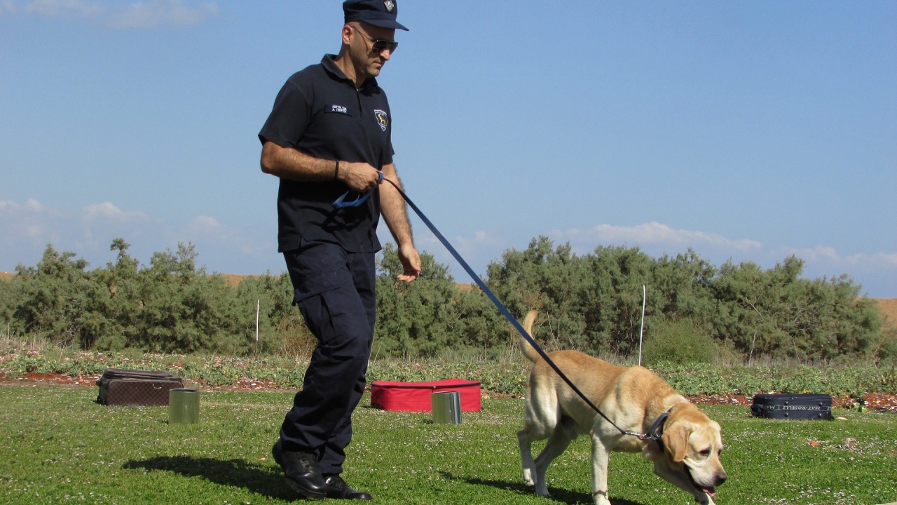 Служебни кучета от Украйна получиха бронежилетки.
Всичко по темата:
Руската инвазия в