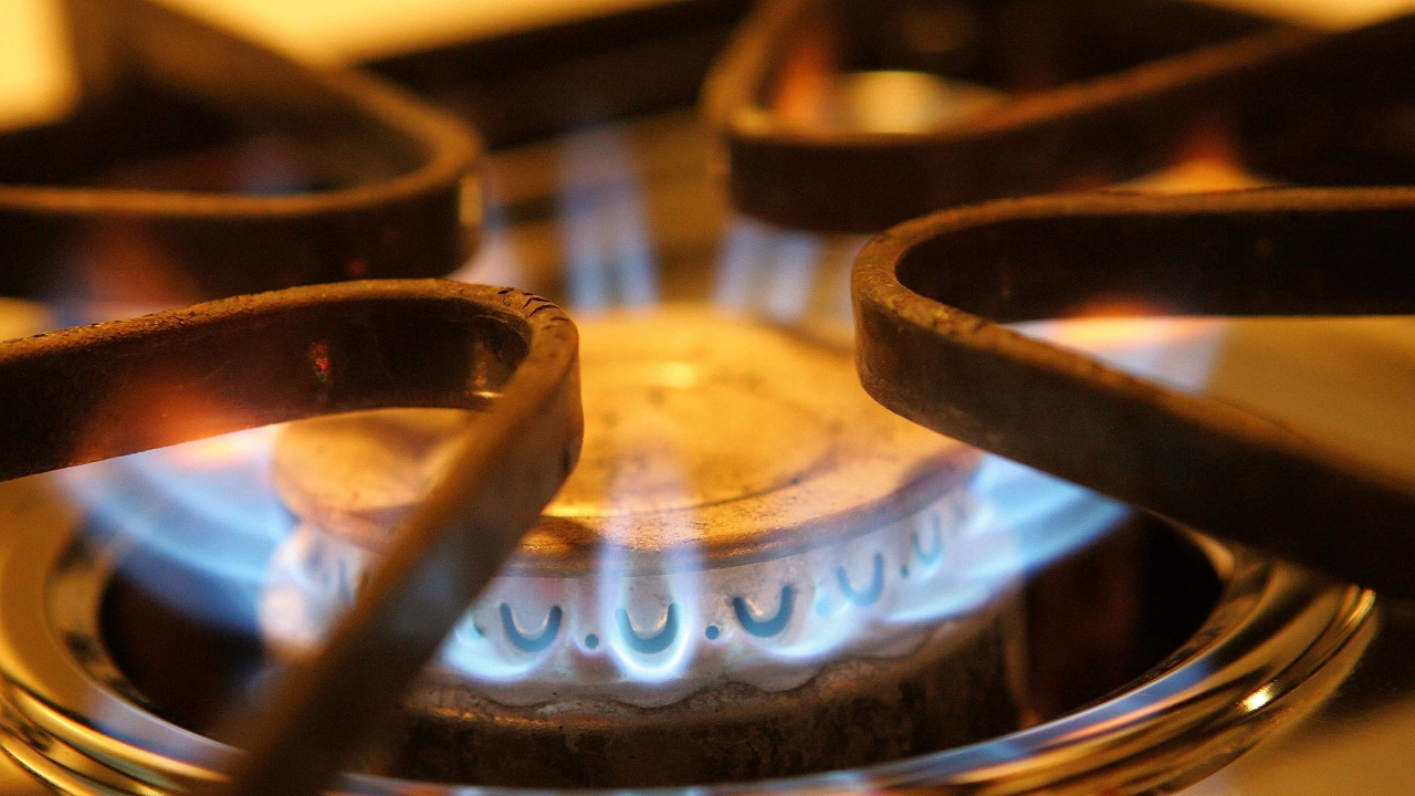 Спирането на доставките на руски газ не трябва да ни